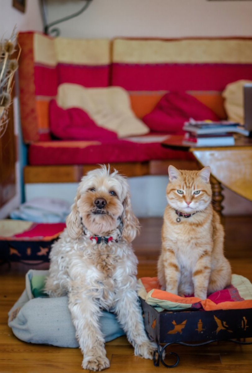 BzzAgent tweet media