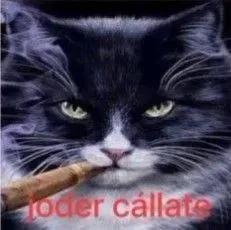 Me considero una persona que prefiere la monogamia, pero si pudiera casar a Shoyo con todos los de haikyuu sería la mejor poligamia