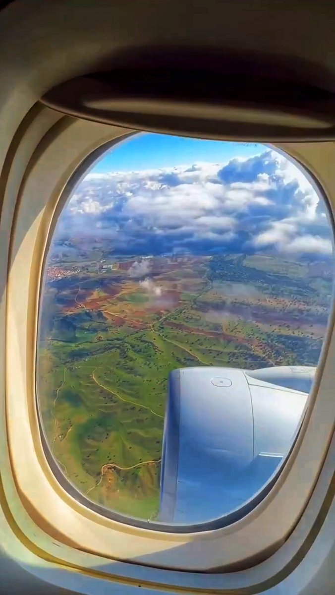 ﮼الباسل 🏝﮼عمدة،بالي🏝 tweet media