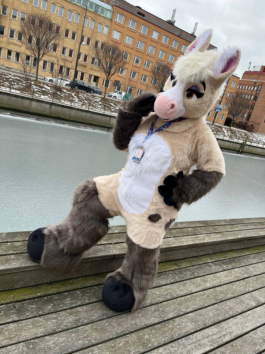 🍂 Hazel Horse 🍂 tweet media
