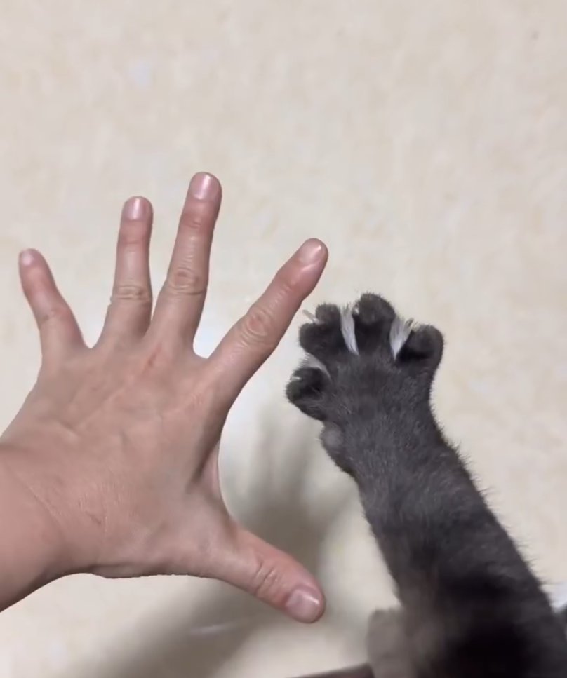 Vicodarinol tweet media