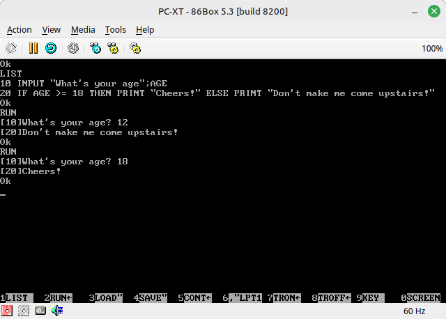 The Governor of California will be happy to know that age verification systems have been added to Commodore 64 BASIC as well as GW-BASIC on DOS.

PHEW!  We're safe now!

Hat tip to <a href="/cbmeeks/">cbmeeks</a> &amp; <a href="/kneekoo/">Nicolae Crefelean</a>.