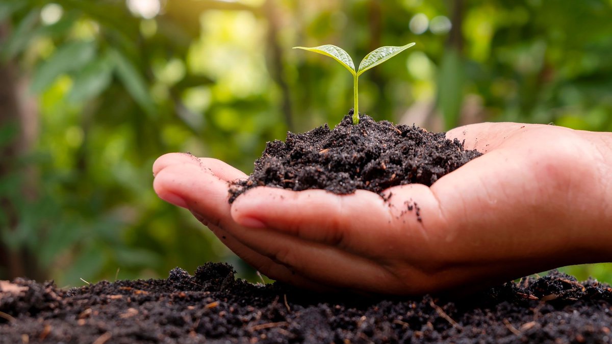 Worried about Your Soil Health? Before You Buy a Test Kit, Try This Simple Fizz Trick gardeningknowhow.com/garden-how-to/…