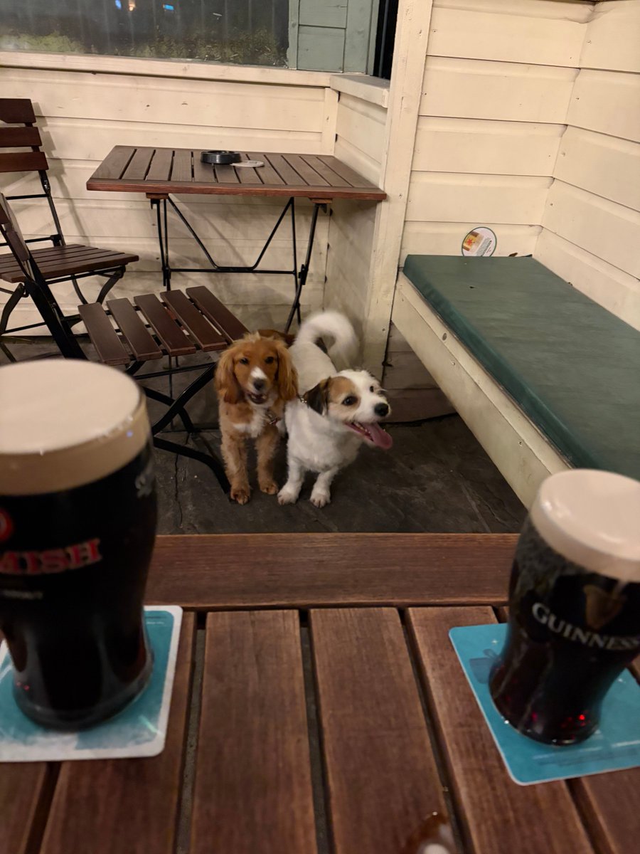 David Bourke tweet media