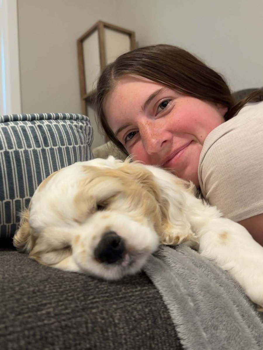 good dog tweet media