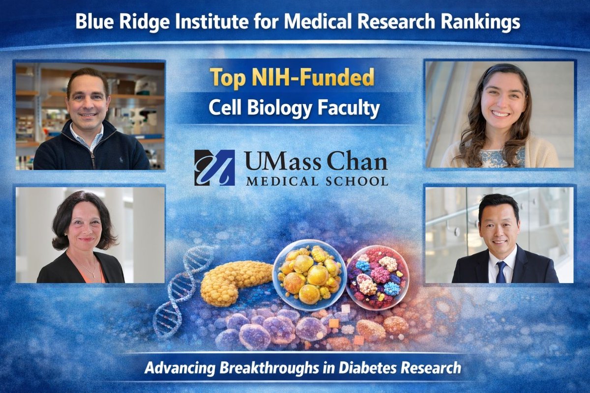 UMassDiabetes tweet media