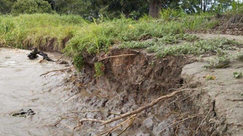 MPF Pará tweet media
