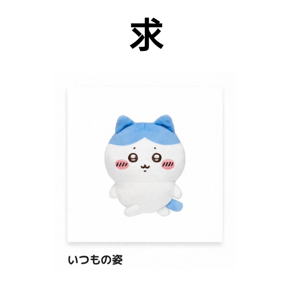 みかん tweet media