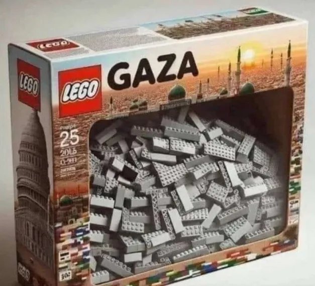 Phoenix🐦‍🔥🇮🇷 tweet media