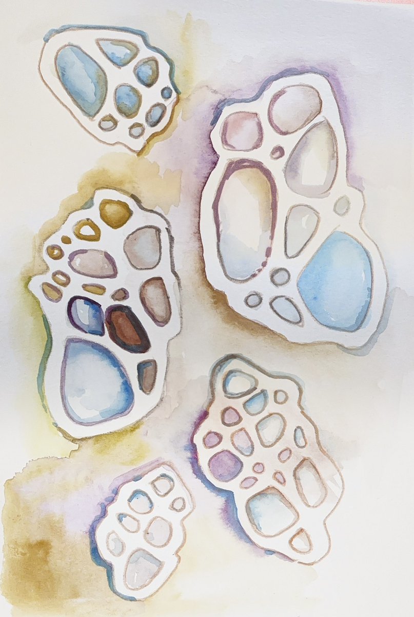 Emily Garfield 🗺 tweet media