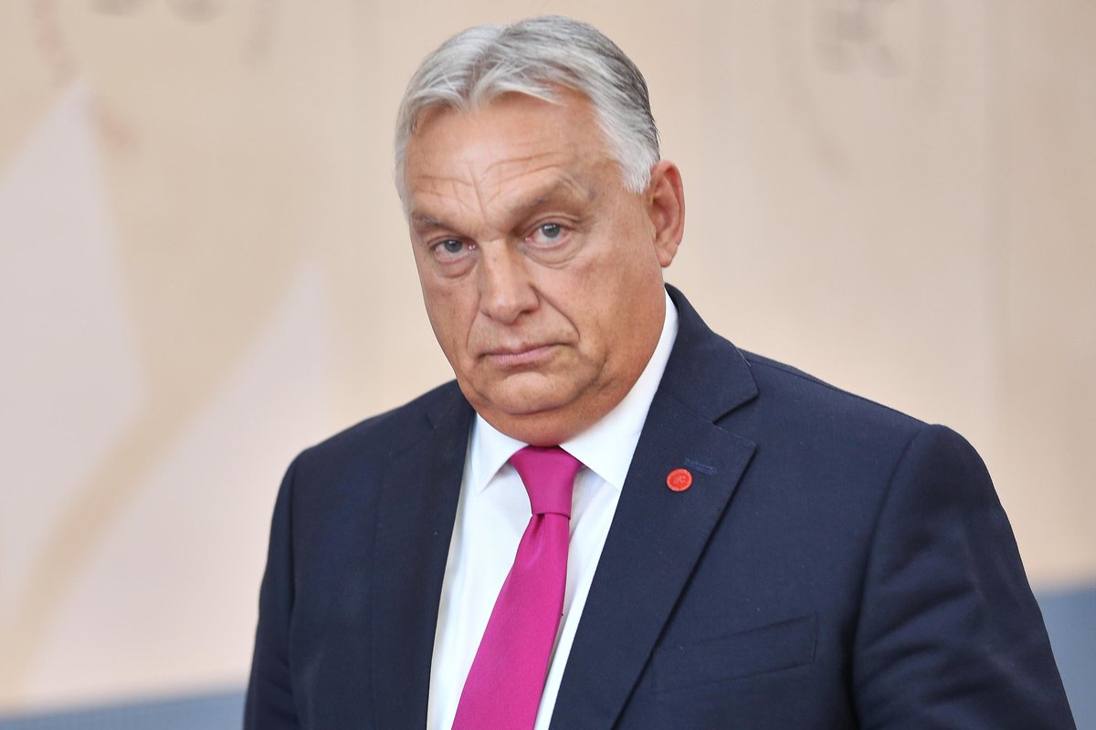 Tomek Niewęgłowski tweet media