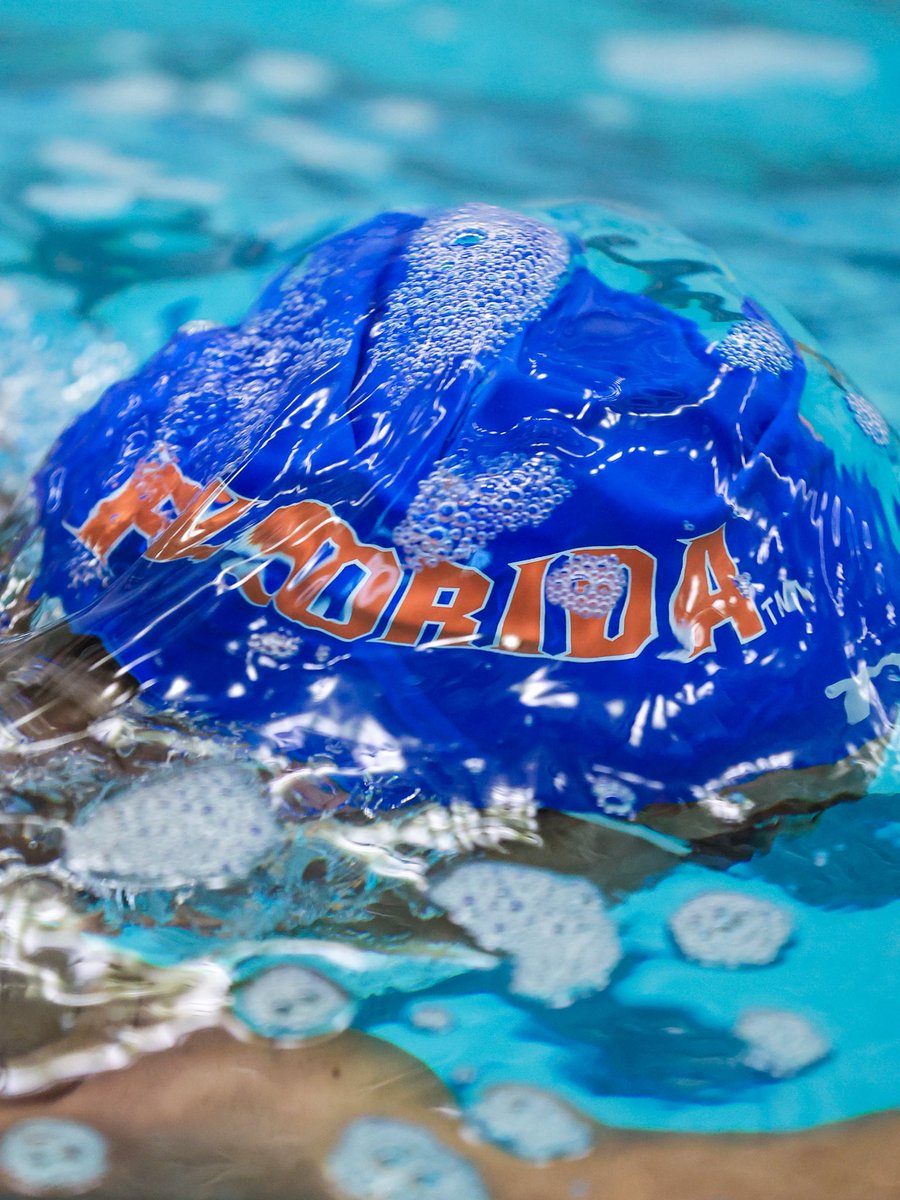 Gators Swimming & Diving tweet media