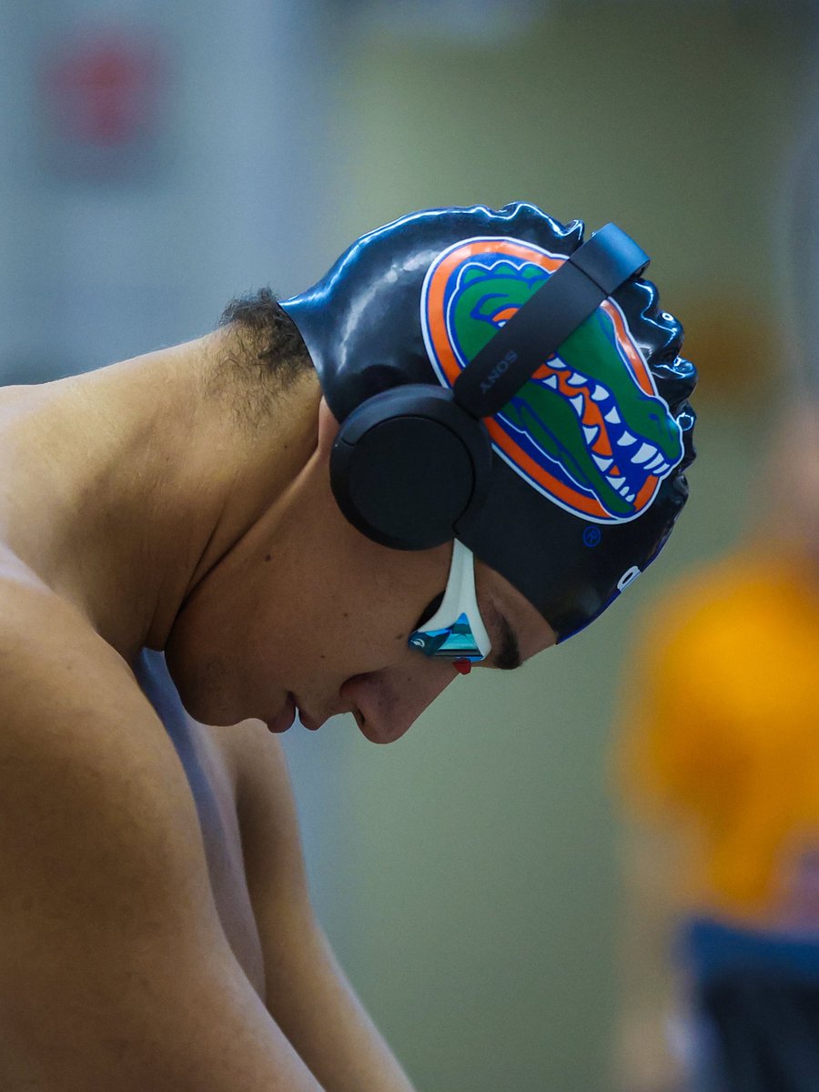 Gators Swimming & Diving tweet media
