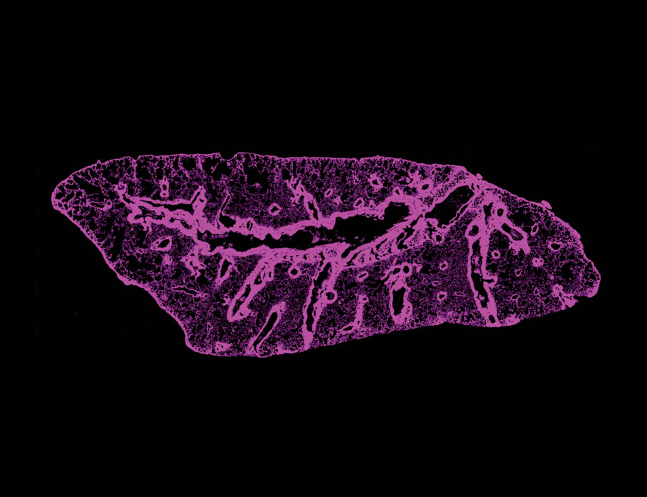 Science Translational Medicine tweet media