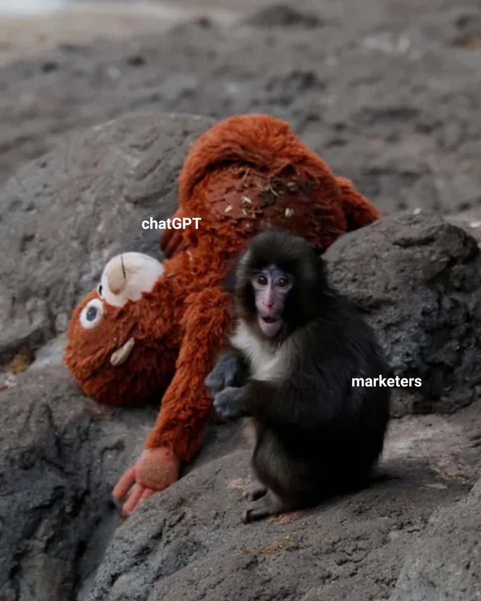 AdParlor's tweet image. we are obsessed. #punchthemonkey 🐒