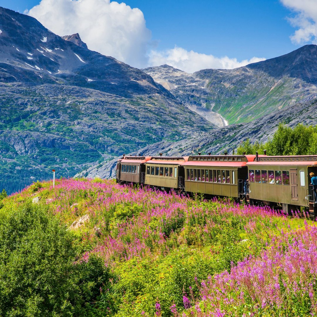 CruiseRenee's tweet photo. All Aboard: Exploring the World by Rail

Suggested Post: Embark on a rail journey where the adventure begins the moment you board. With the ability to be incorporated into several vacation itineraries, traveling by train allows you to enjoy the local scenery and culture from a... https://t.co/Hw0at1sOx0