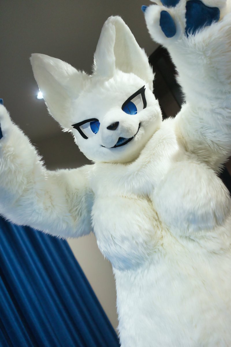 あおさんさん_Fursuit tweet media