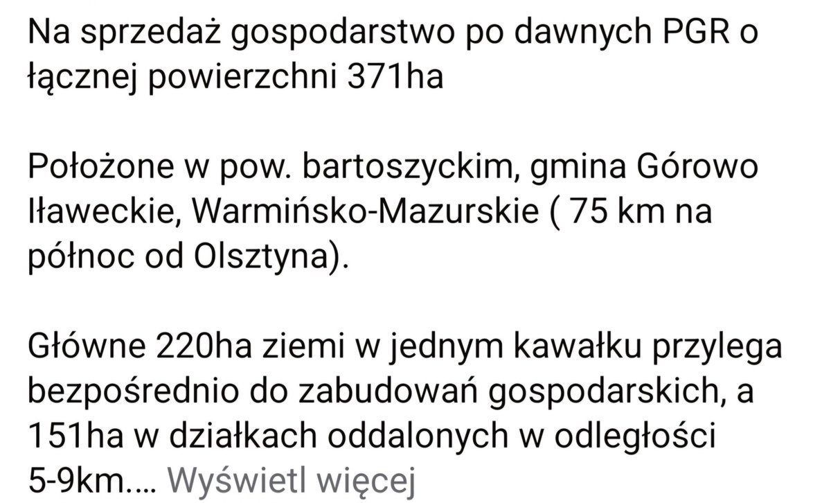 Andrzej LM tweet media