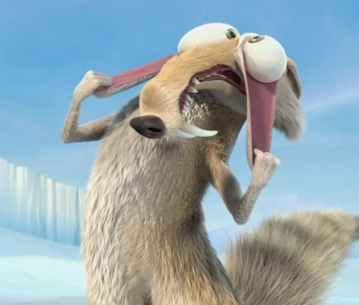 🇮🇷قو خسته 🦢🍷 tweet media