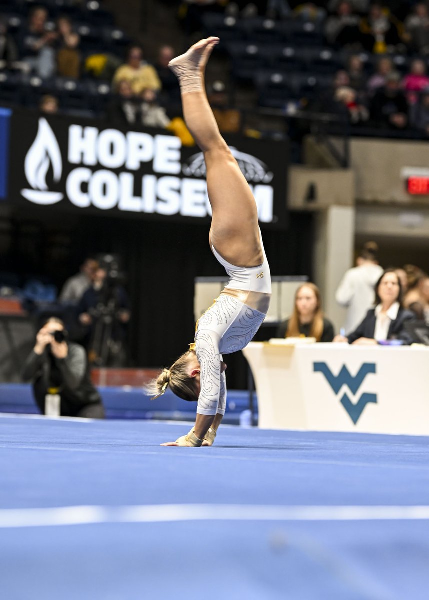 WVU Student Life tweet media