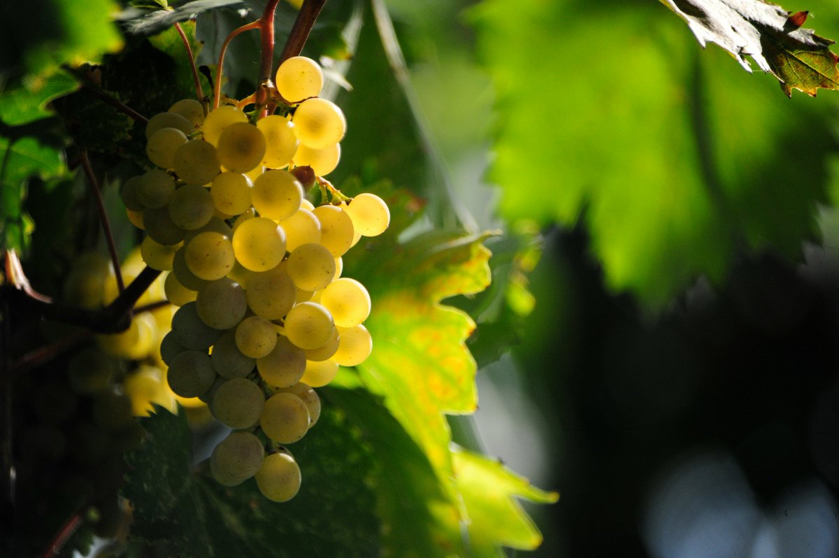 Image de Préfet Nouvelle-Aquitaine et Gironde