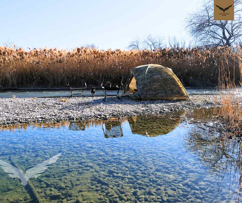 LiteFighter Gear tweet media