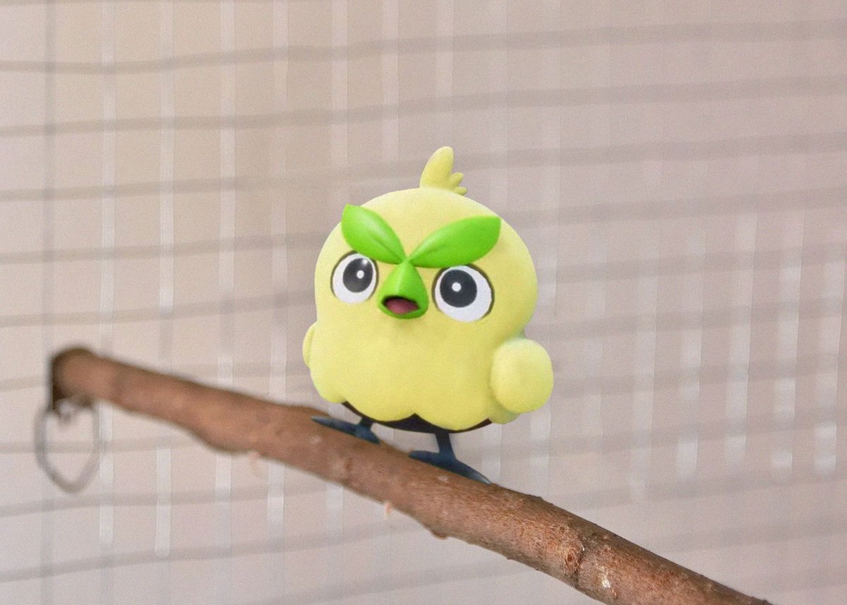 Nebraska Humane Society tweet media