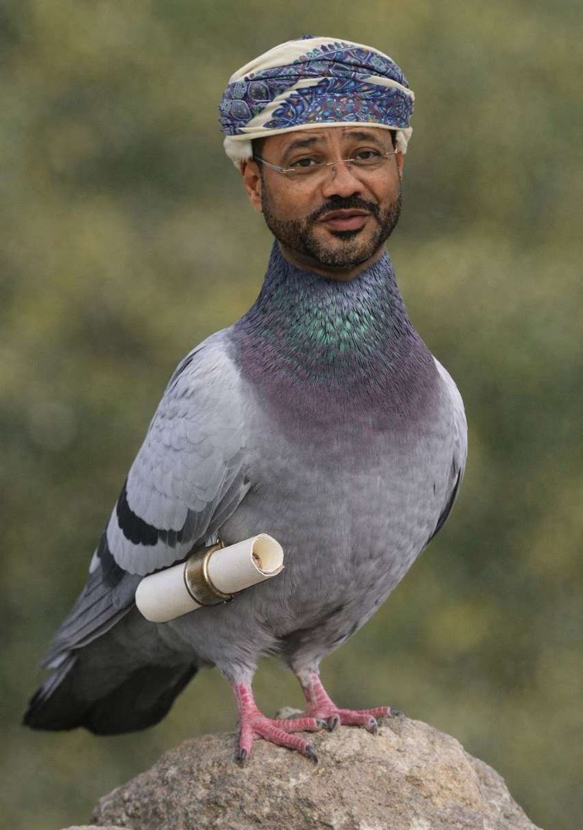 آرش🏹 tweet media