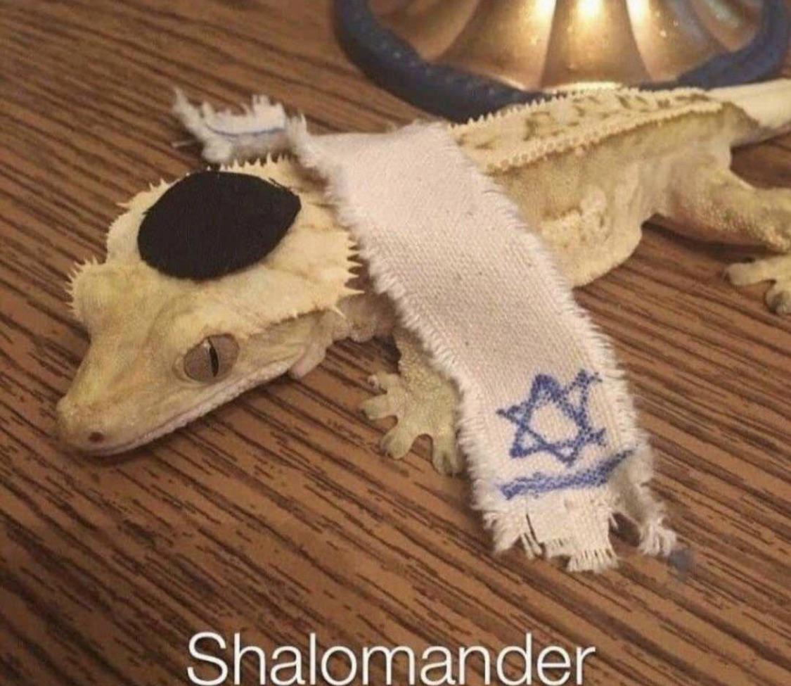 <a href="/TheBigNasty_/">Big Nasty</a>