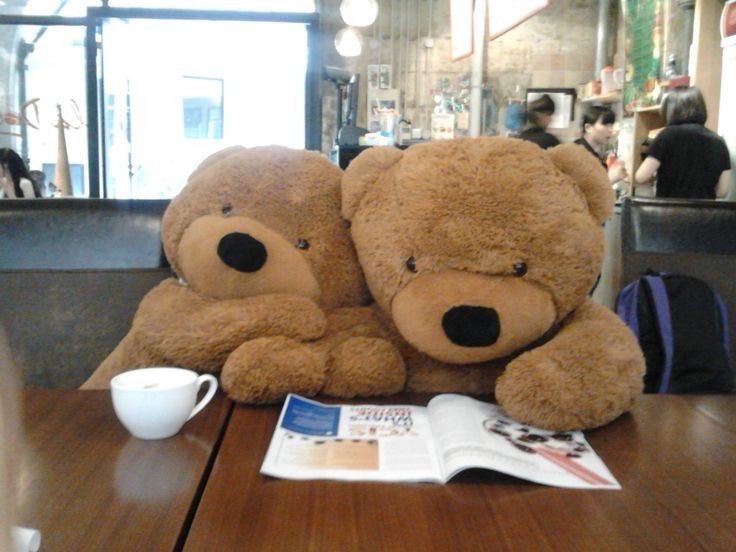 threeshoeys's tweet photo. @doyunnie_ : us if we were in ted https://t.co/ROIgSrweNm