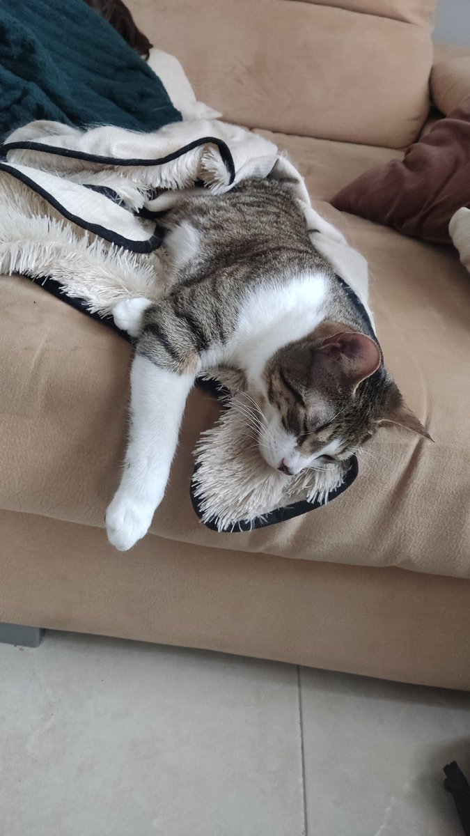 Él no sabía que poco después saldría de paseo...