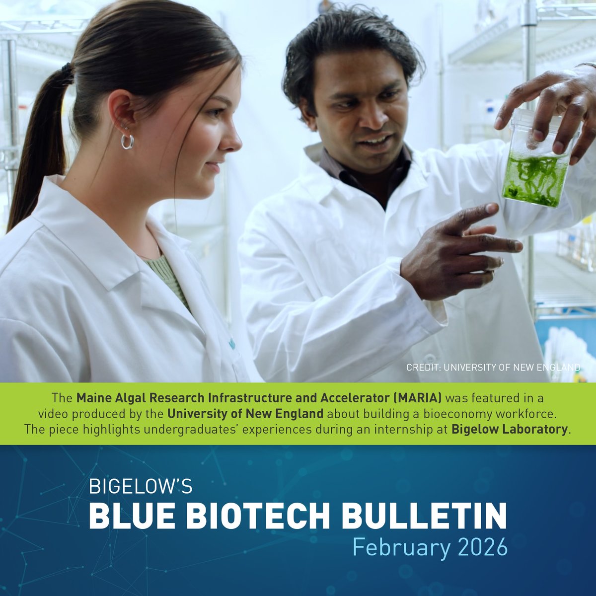 Bigelow Laboratory tweet media