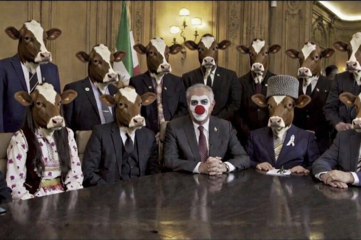 Shadi Ahmadian☀️ tweet media