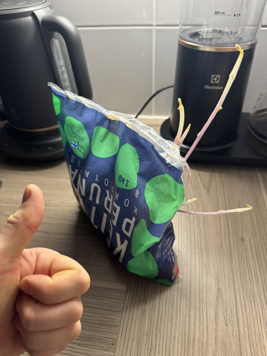 Пётр через ö tweet media