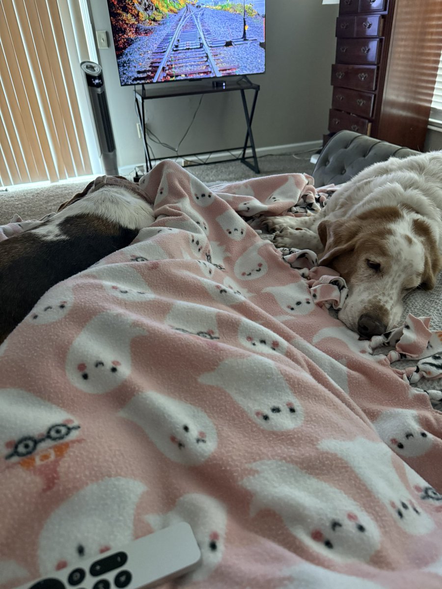 If I’m not divinely protected, explain this