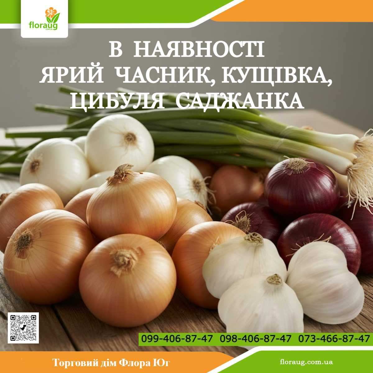 tdfloraug's tweet photo. ВЕСНА 2026✅В НАЯВНОСТІ ярий часник, цибуля кущівка, цибуля на перо, цибуля саджанка для весняної посадки від виробників ТМ Broer BV і Triumfus Onion Products (TOP) Нідерланди та вітчизняного виробника. Замовити https://t.co/NJjnebabrE https://t.co/PRuM9GfTZk