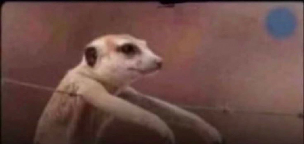 How did Adam know that that's the right hole to put it