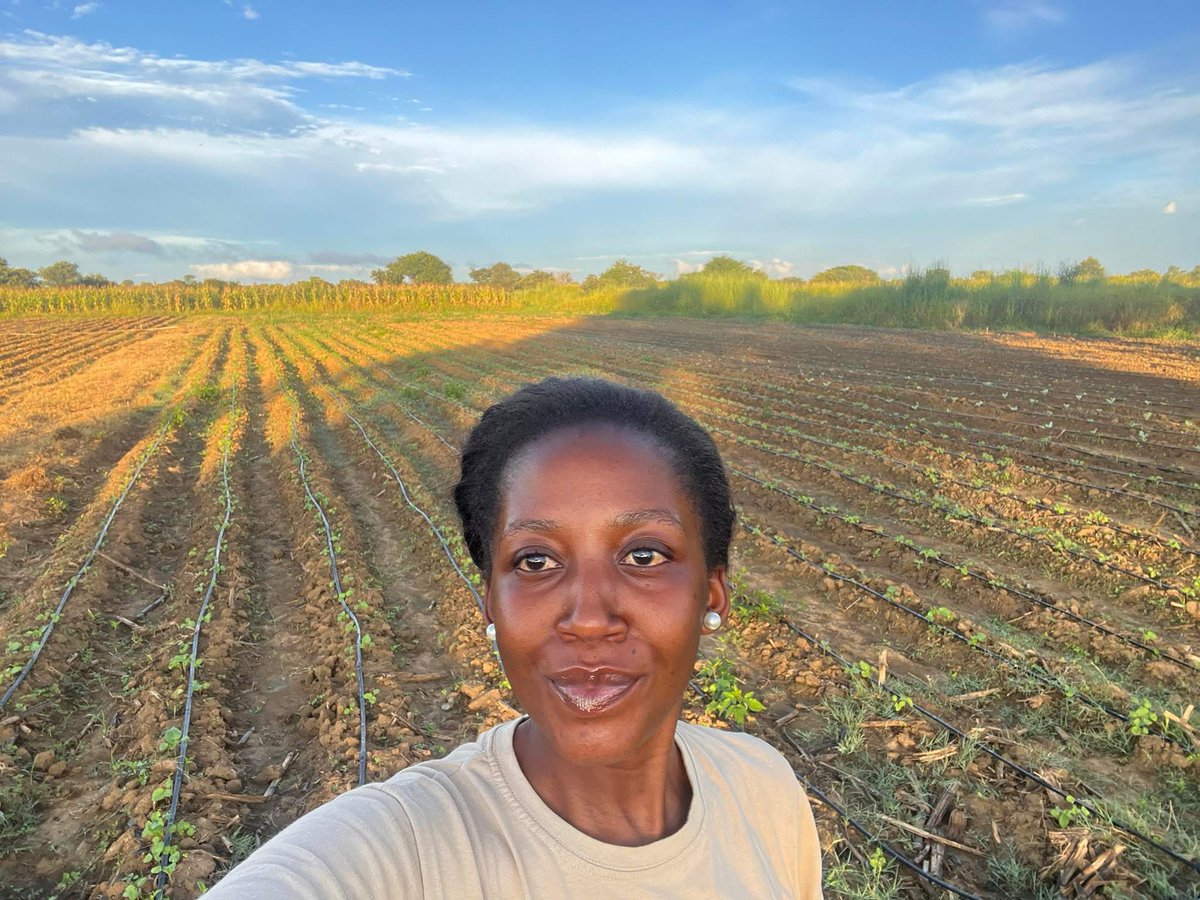 Maanda Sianga tweet media