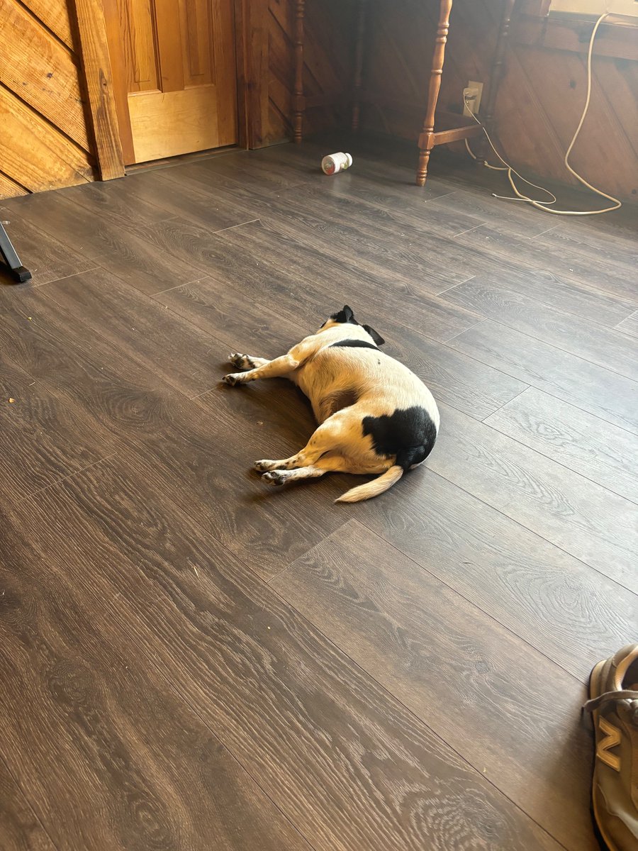 It’s like having a fat pig lay in the middle of my room.. terrifying..