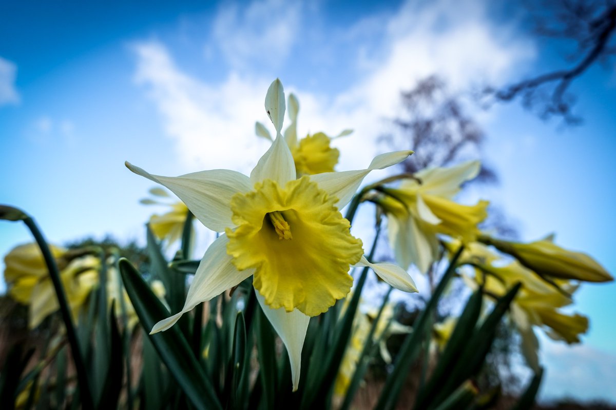 Martin Paterson 🏴󠁧󠁢󠁳󠁣󠁴󠁿 tweet media