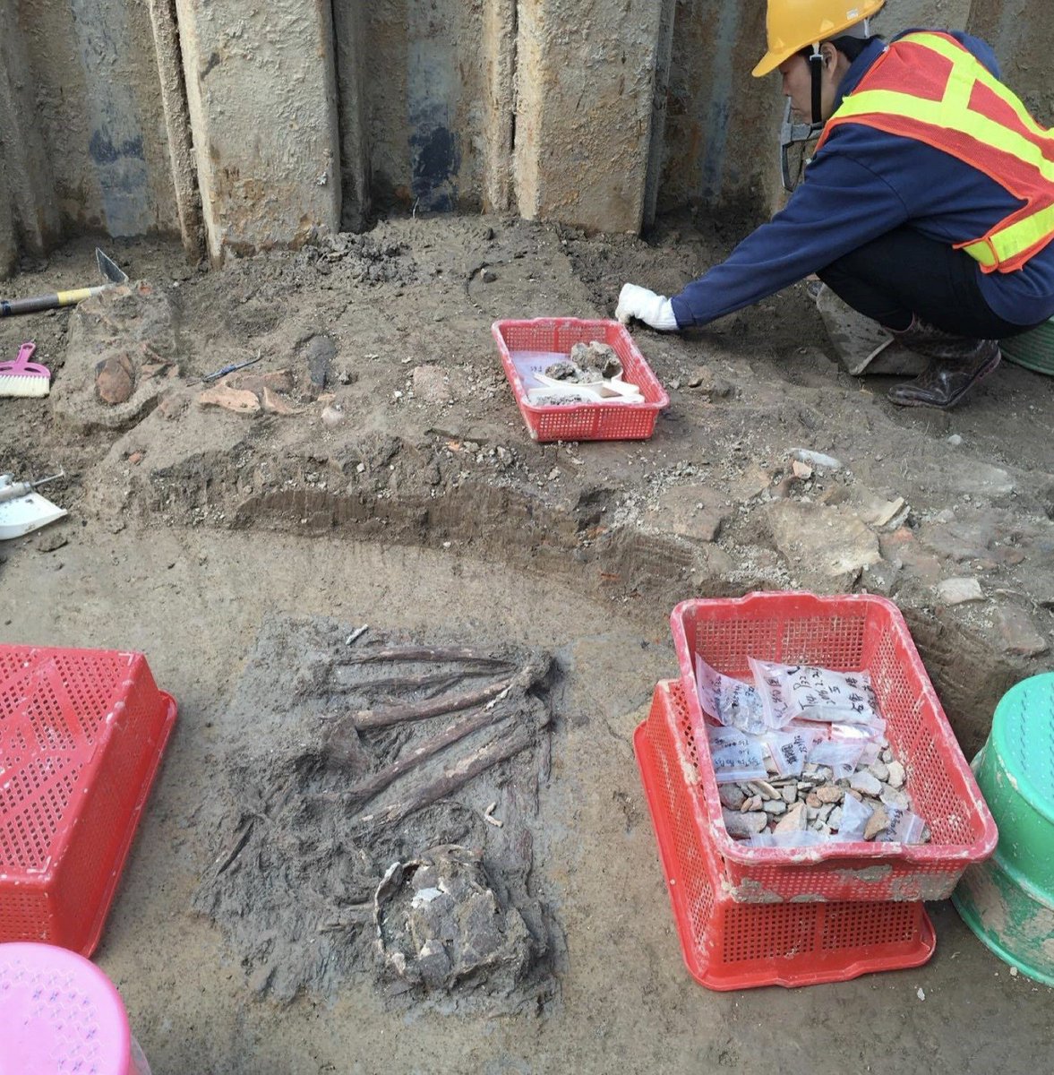 Winosaur tweet media