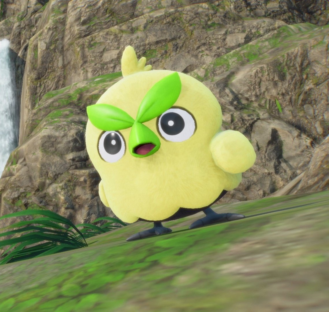 solarkarii's tweet image. STOP HATING ON BROWT JUST BECAUSE SHE LOOKS LIKE ROWLET 💔💔💔💔