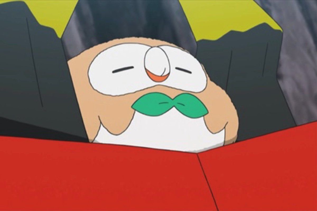 solarkarii's tweet image. STOP HATING ON BROWT JUST BECAUSE SHE LOOKS LIKE ROWLET 💔💔💔💔