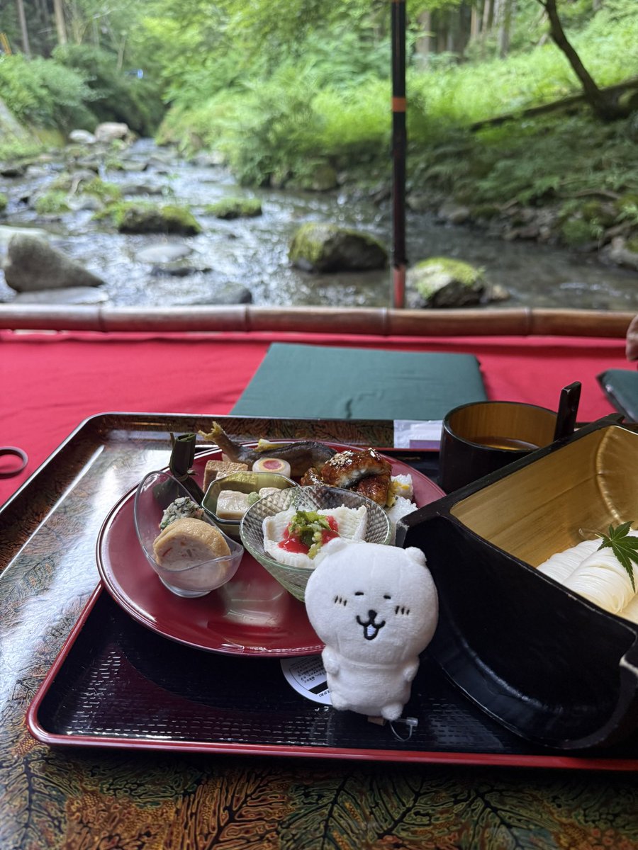 泪水打湿鸡巴毛 tweet media