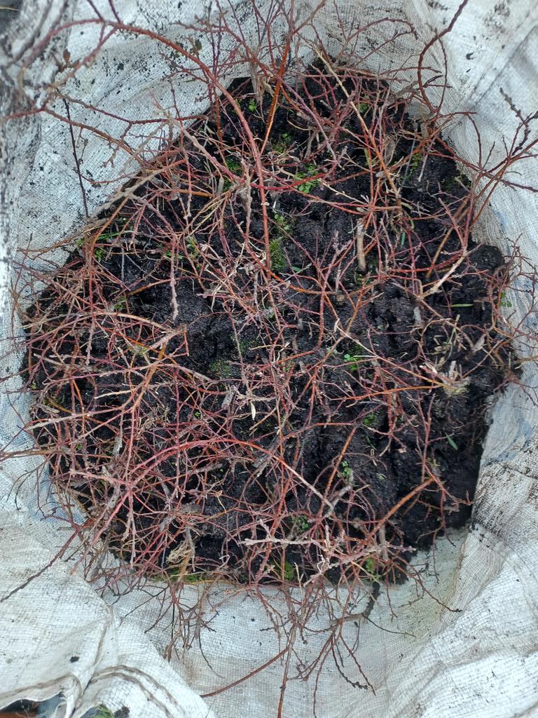 Eadha Enterprises tweet media