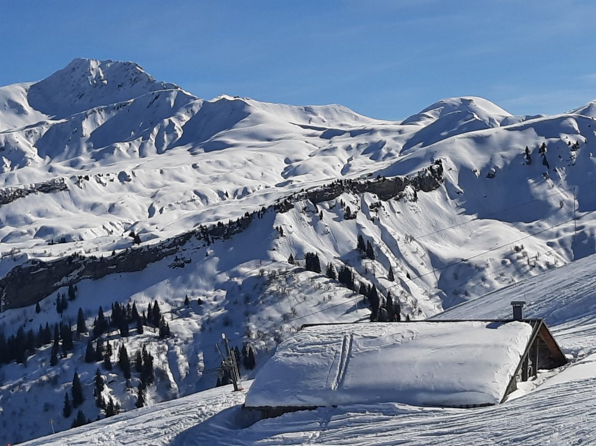 Andre Montaud tweet media