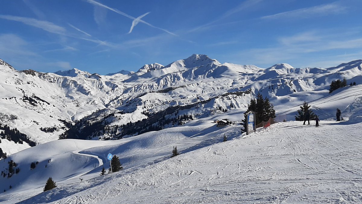 Andre Montaud tweet media