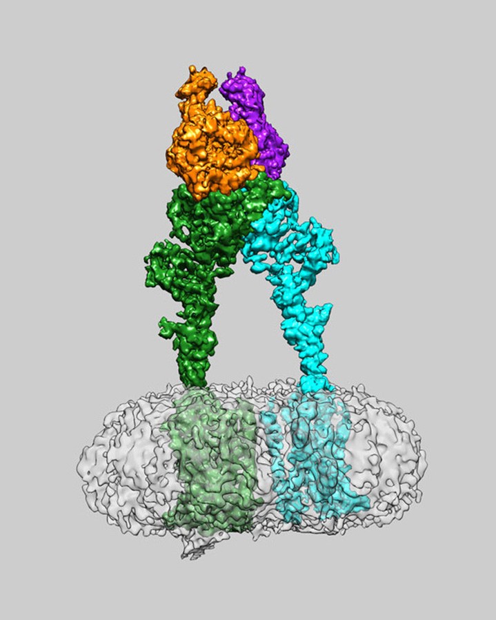 Science Magazine tweet media