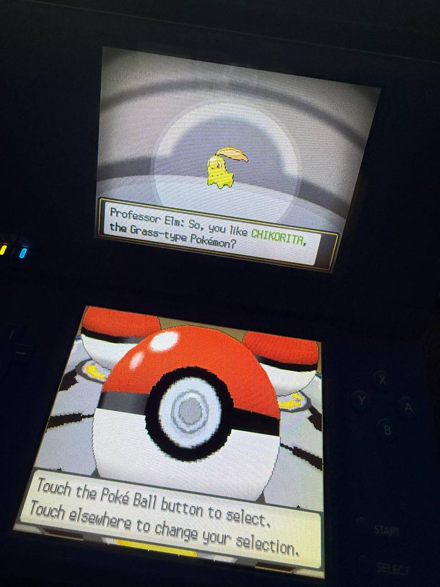 Duolingo Brasil 🇧🇷 tweet media