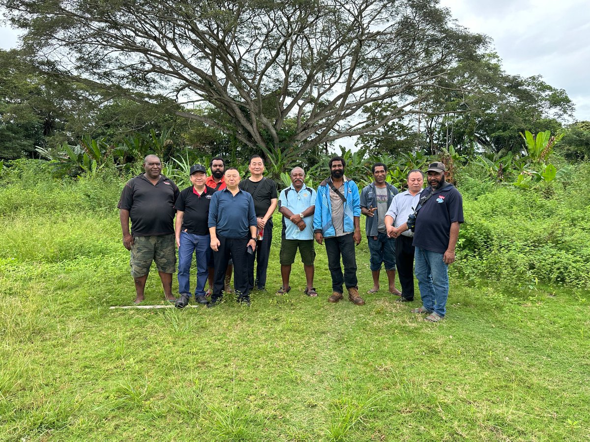 F-Soler Official | Carbon Credit NFT tweet media